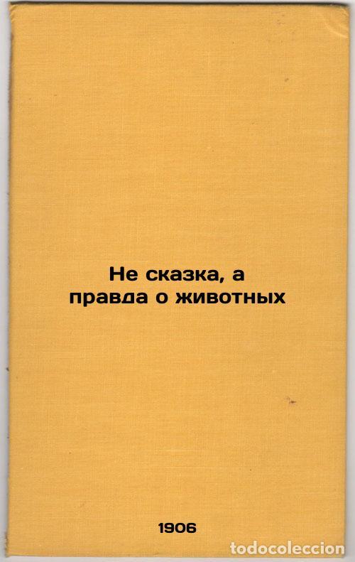Second hand books: Ne skazka, a pravda o zhivotnykh. In Russian /Not a fairy tale, but the truth a - Kotlyar, Gdal Abra