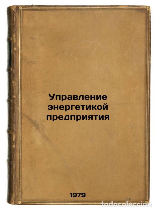 Libri di seconda mano: Upravlenie energetikoy predpriyatiya/Enterprise Energy Management In Russian - Nekrasov, Aleksandr S