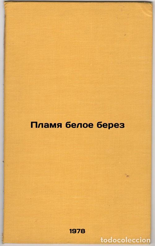 Second hand books: Plamya beloe berez/White Birch Flame In Russian - Zaharov, Vladimir Kapitonovich