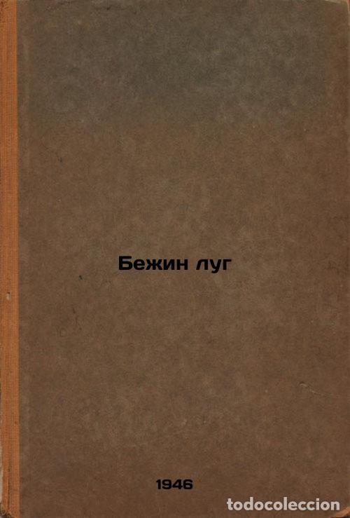 Gebrauchte B&uuml;cher: Bezhin lug. In Russian /Begin Meadow - Turgenev, Ivan Sergeevich