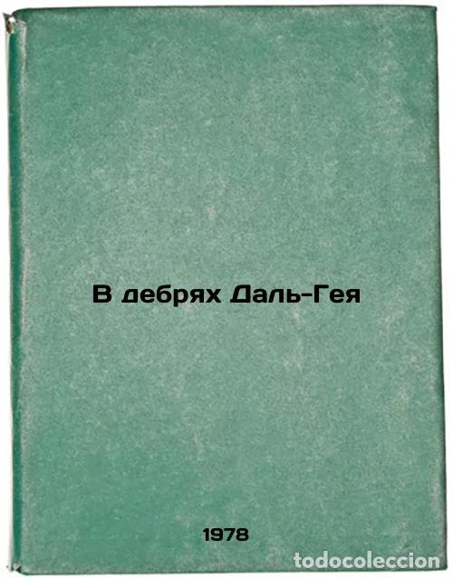 Gebrauchte B&uuml;cher: V debryakh Dal-Geya/In the Dreams of Dal-Gaia In Russian - Tupicyn, Yurij Gavrilovich