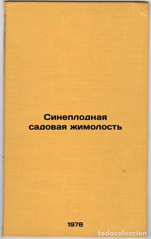 Gebrauchte B&uuml;cher: Sineplodnaya sadovaya zhimolost/Blue-blooded garden honeysuckle In Russian - Gidzyuk, Ivan Karpovich