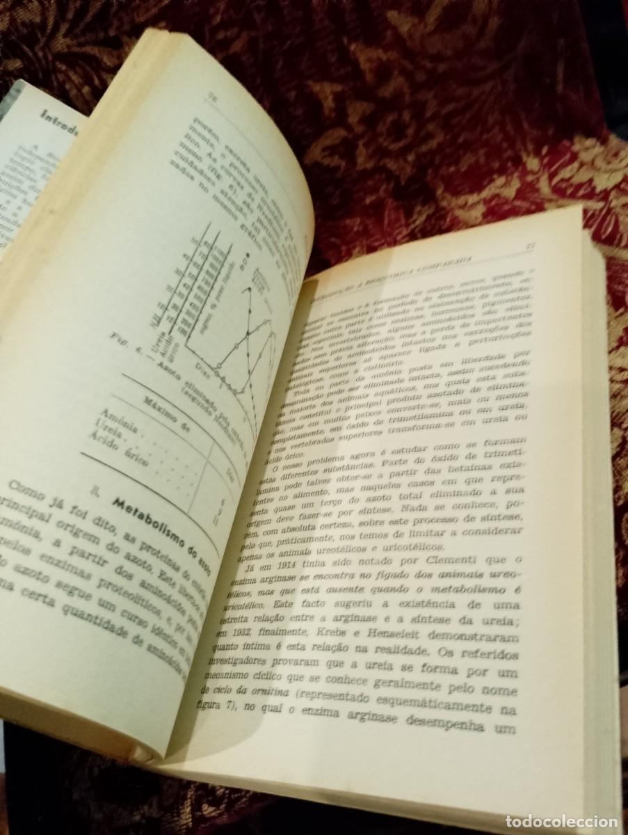 Libros de segunda mano: Introdu&ccedil;&atilde;o &agrave; Bioqu&iacute;mica Comparada - Ernest Baldwin - Foto 3