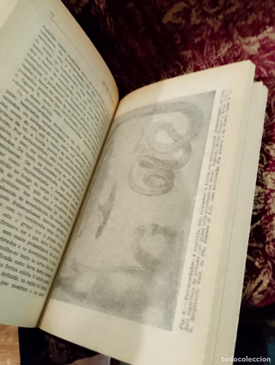 Libros de segunda mano: Introdu&ccedil;&atilde;o &agrave; Bioqu&iacute;mica Comparada - Ernest Baldwin - Foto 4