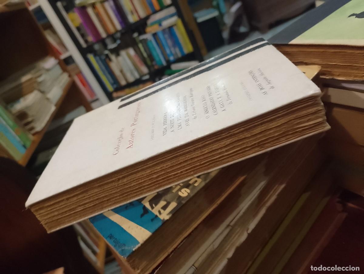 Libros de segunda mano: A Gata e a F&aacute;bula - Fernanda Botelho - Foto 5