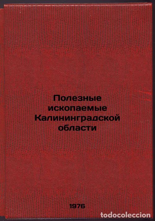 Libros de segunda mano: Poleznye iskopaemye Kaliningradskoy oblasti. In Russian /Mineral resources of t - Gurevich, Georgy I