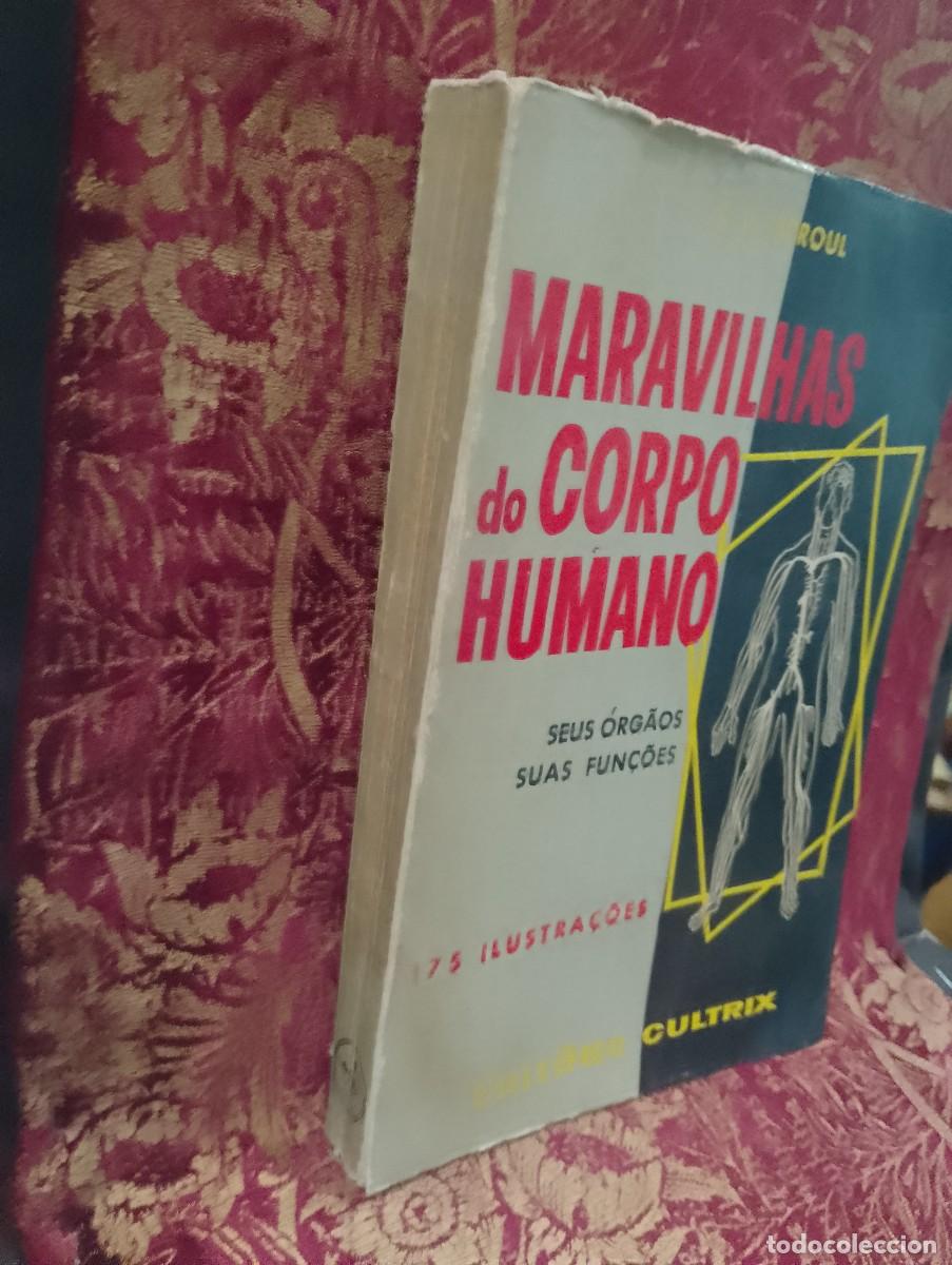 Libros de segunda mano: Maravilhas do Corpo Humano 1959 Edith E. Sproul - Foto 2