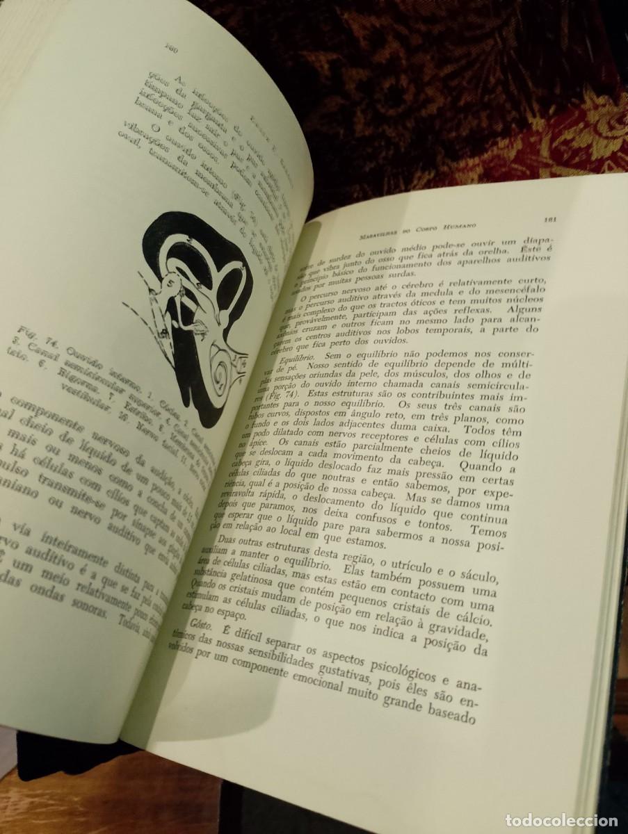 Libros de segunda mano: Maravilhas do Corpo Humano 1959 Edith E. Sproul - Foto 3