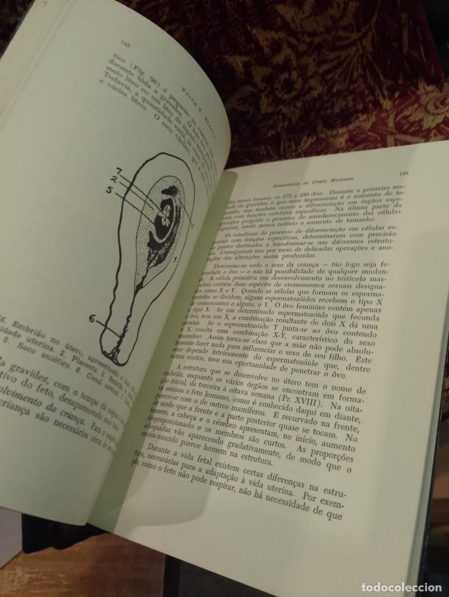Libros de segunda mano: Maravilhas do Corpo Humano 1959 Edith E. Sproul - Foto 4