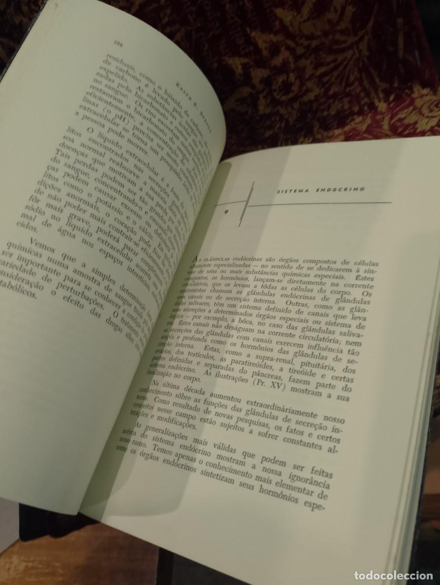Libros de segunda mano: Maravilhas do Corpo Humano 1959 Edith E. Sproul - Foto 5