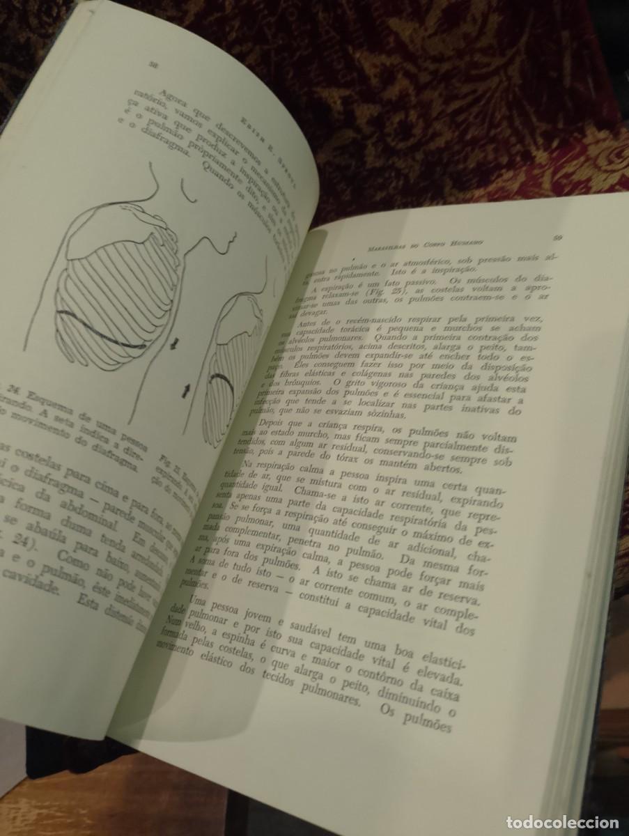 Libros de segunda mano: Maravilhas do Corpo Humano 1959 Edith E. Sproul - Foto 6