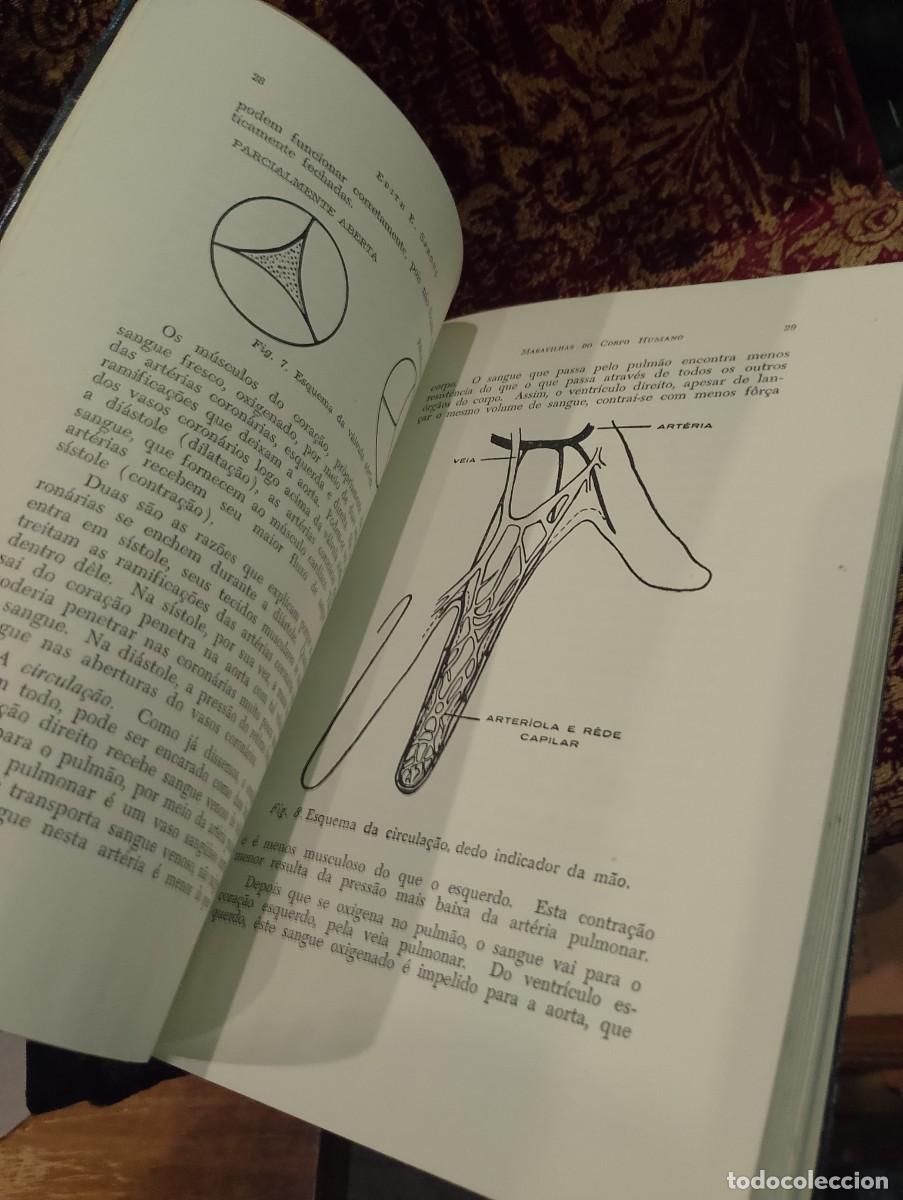 Libros de segunda mano: Maravilhas do Corpo Humano 1959 Edith E. Sproul - Foto 7