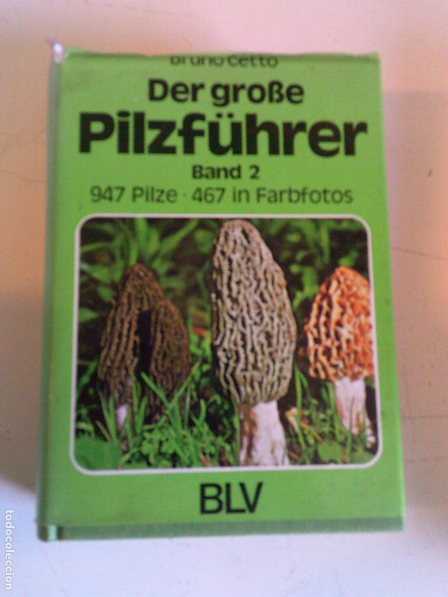 Libros de segunda mano: Libro de setas mas de 500 fotograf&iacute;as en idioma Alem&aacute;n