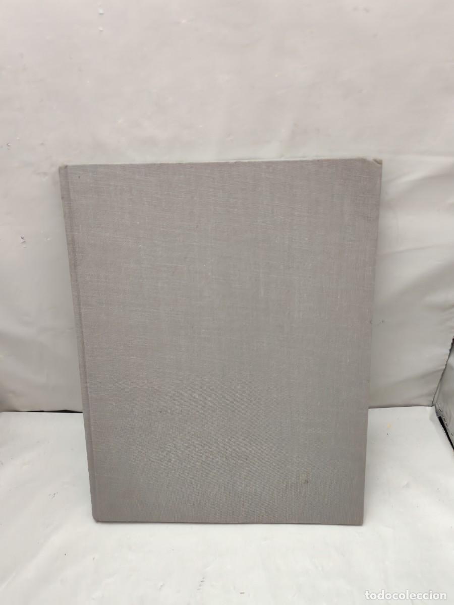 Libri di seconda mano: Der Akt in Licht und Schatten (Tapa dura sin sobrecubierta)