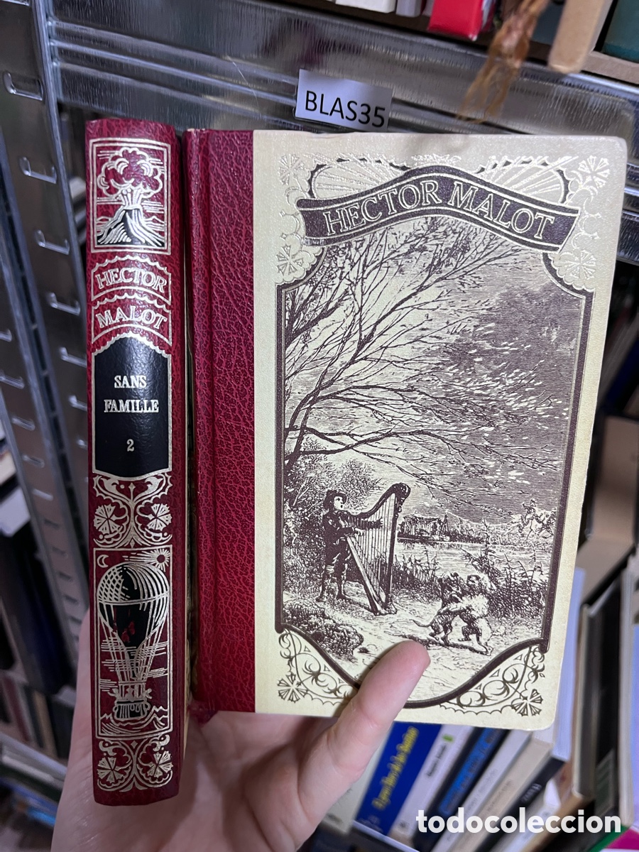 Libros de segunda mano: Blas35 Hector Malot, sans famille (Fran&ccedil;ais)