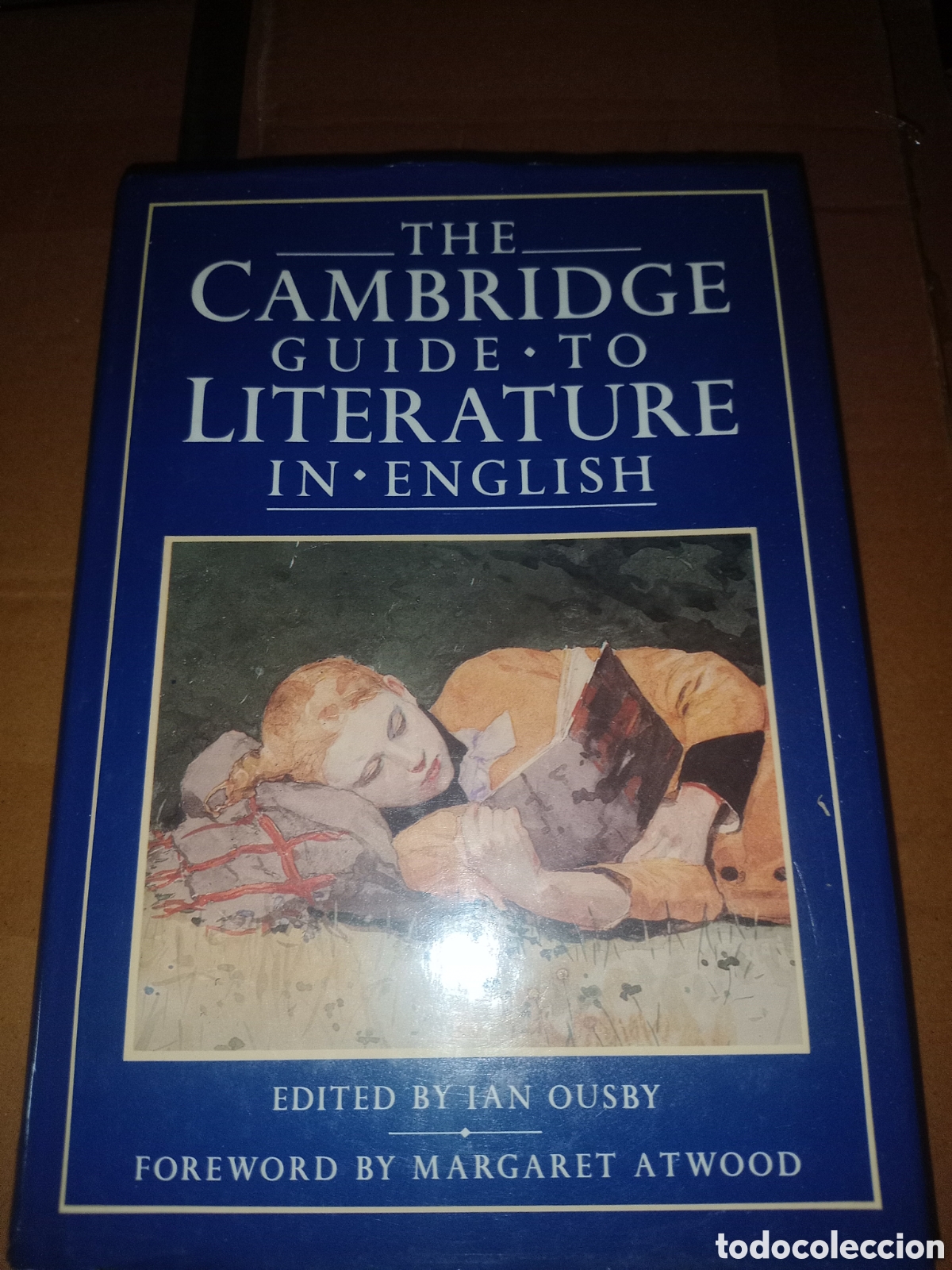 Libros de segunda mano: Toreteblanco the Cambridge guide to literature in english