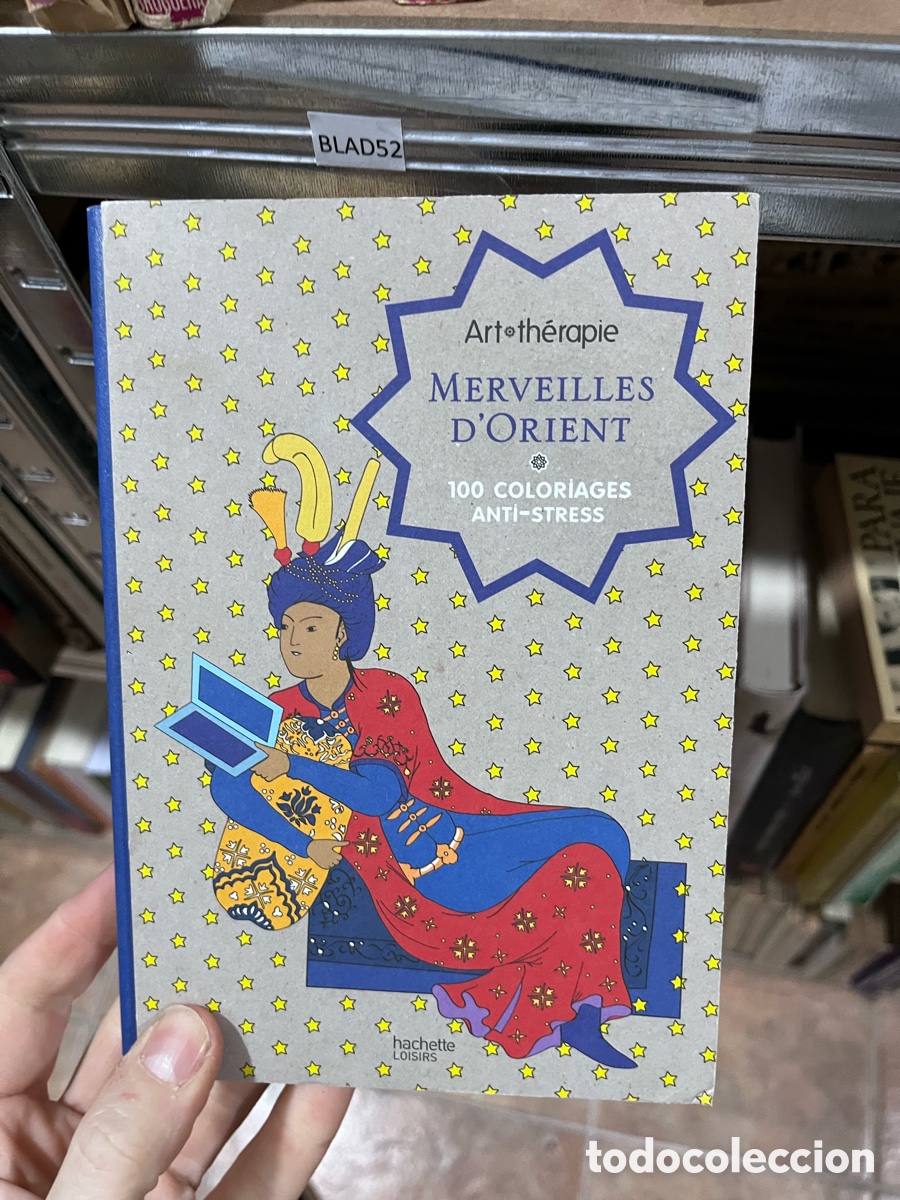 Libros de segunda mano: BLAS52 Artoth&eacute;rapie MERVEILLES D'ORIENT 100 COLORIAGES ANTİ-STRESS
