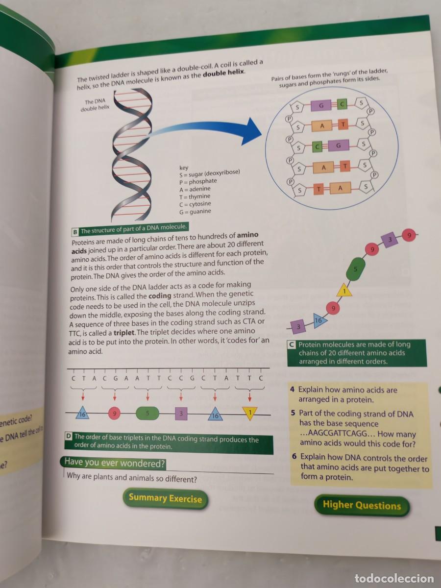 Libros de segunda mano: Edexcel GCSE Additional Science Students Book: with CDROM (Edexcel GCSE Science) - Foto 4