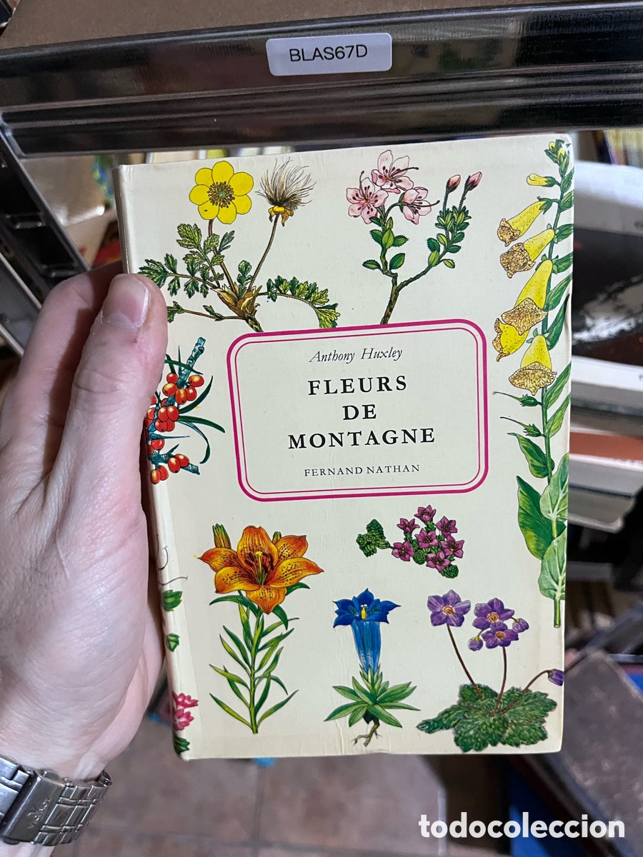 Libros de segunda mano: BLAS67D Anthony Huxley FLEURS DE MONTAGNE FERNAND NATHAN