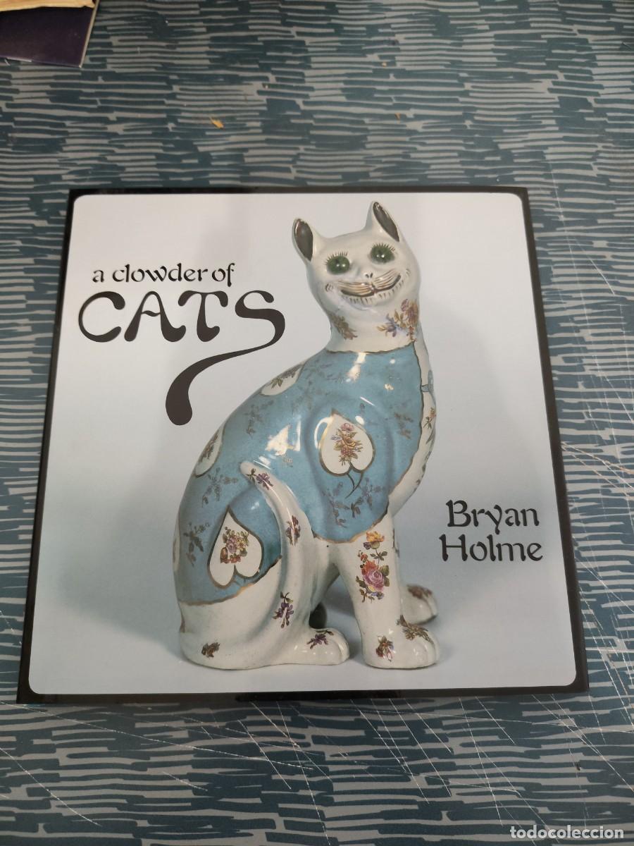 Libros de segunda mano: A CLOWDER OF CATS,BRYAN HOLME,NEW YORK,1986,96 P&Aacute;GINAS.