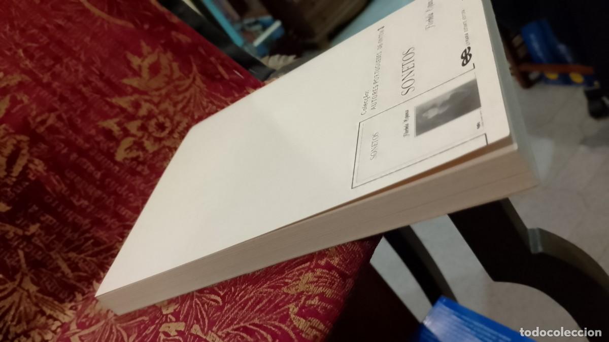 Libros de segunda mano: Sonetos - Florbela Espanca - Foto 8