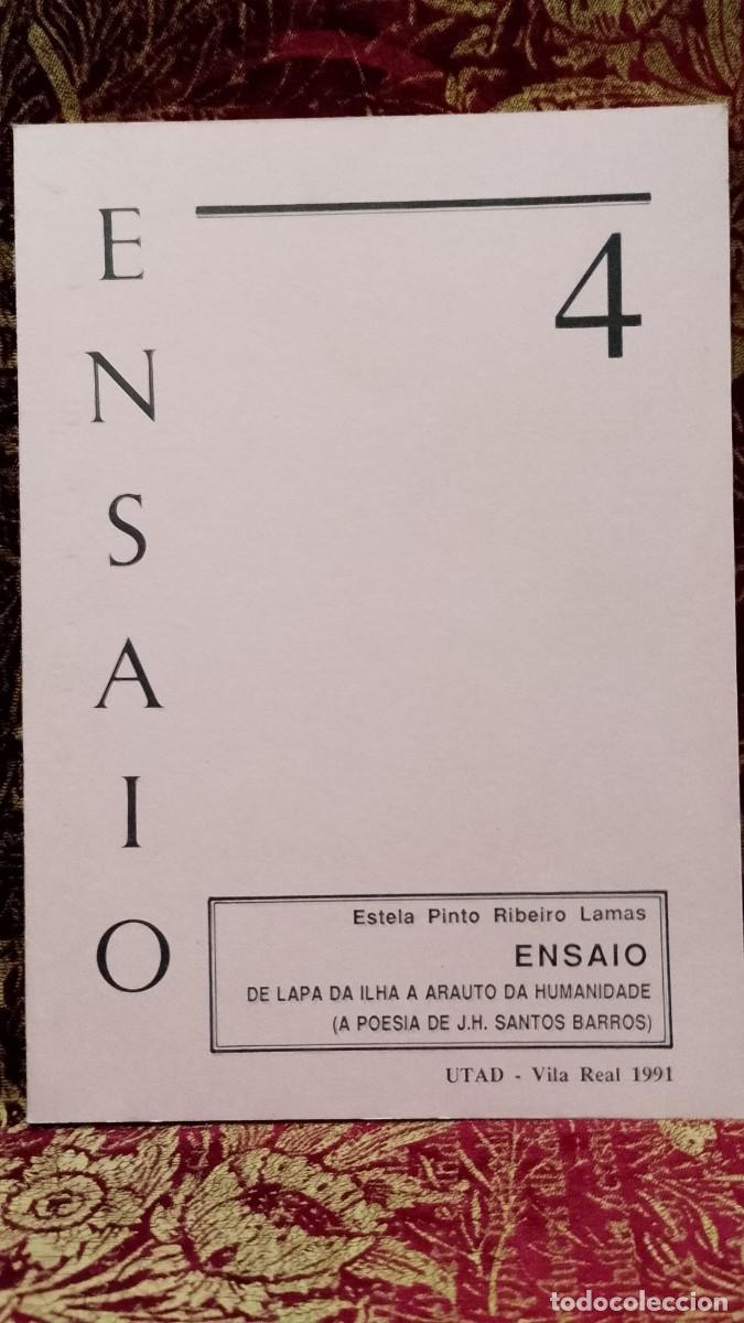 Libros de segunda mano: Boletim Ensaio 4 UTAD 1991 Vila Real - Estela Pinto Ribeiro Lamas