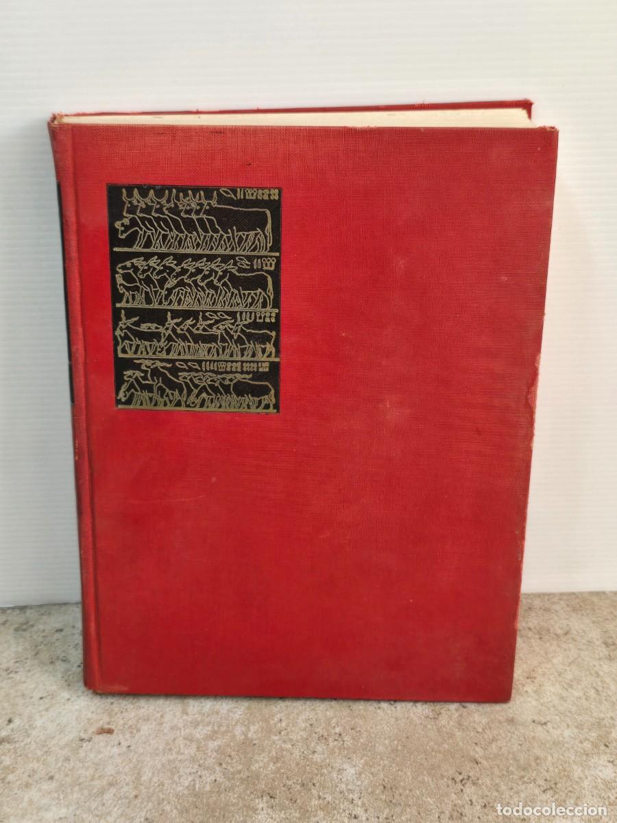 Libros de segunda mano: A History of Domesticated Animals - Frederick E. Zeuner. Harper & Row 1963. En Ingl&eacute;s