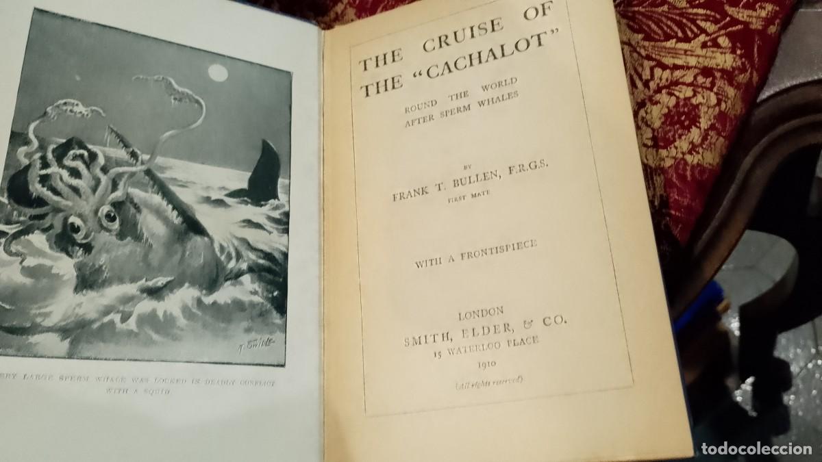 Libros de segunda mano: The Cruise of the Cachalot 1910 Frank T. Bullen