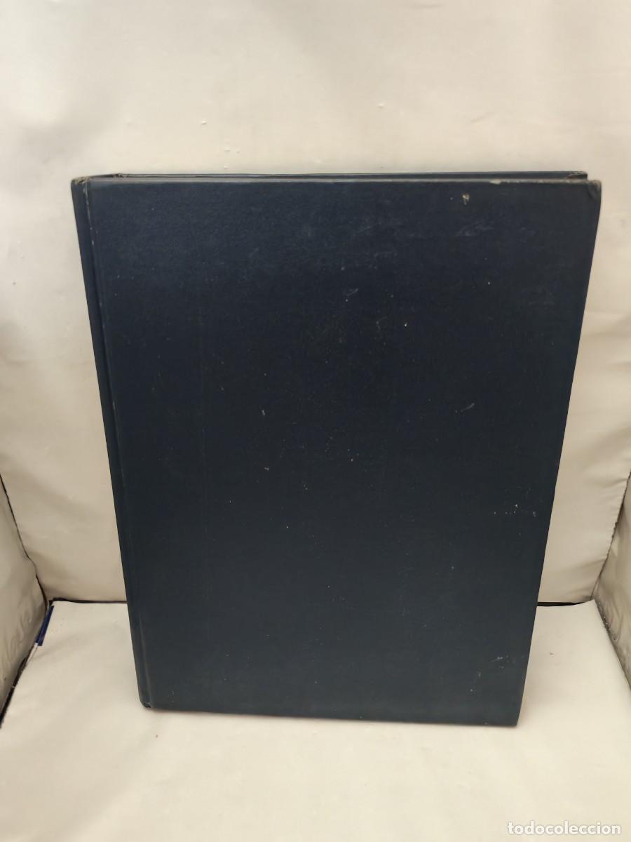 Libri di seconda mano: Richard and Arthur Mayer: THE MOVIES (Revised edition 1972, hardcover)