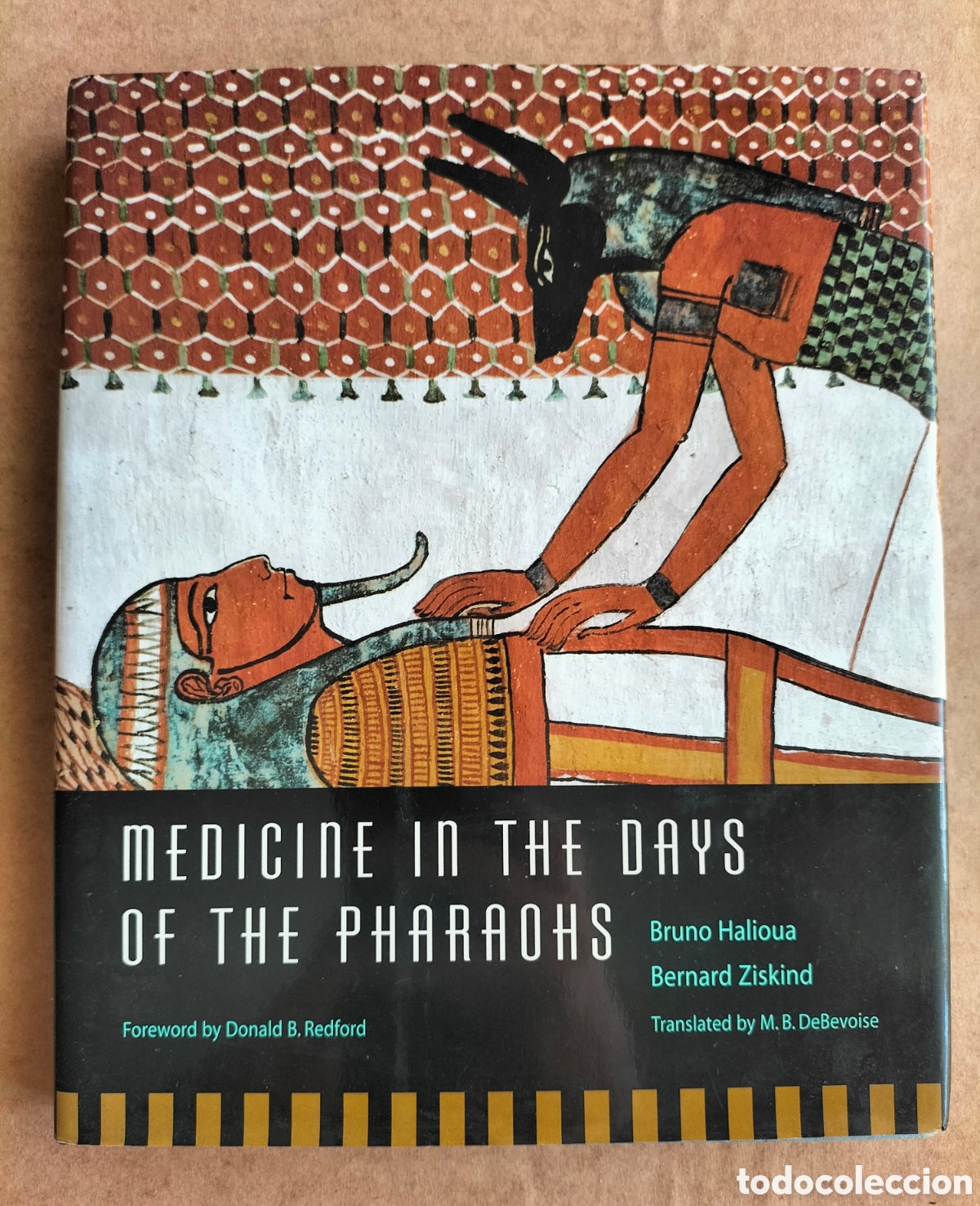Libros de segunda mano: Medicine in the days of the pharaohs. Bruno Halioua. Bernard Ziskind. The Belknap press, 2005. Libro