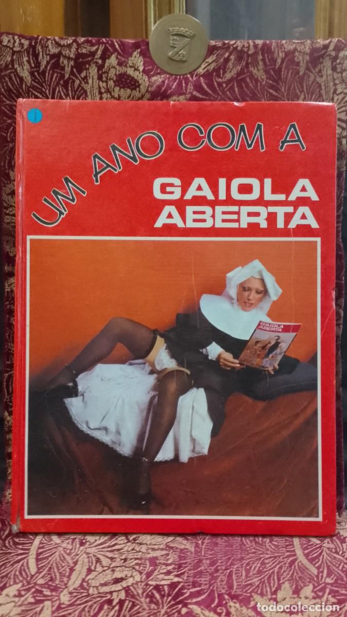 Libros de segunda mano: Um Ano com a Gaiola Aberta Jos&eacute; Vilhena