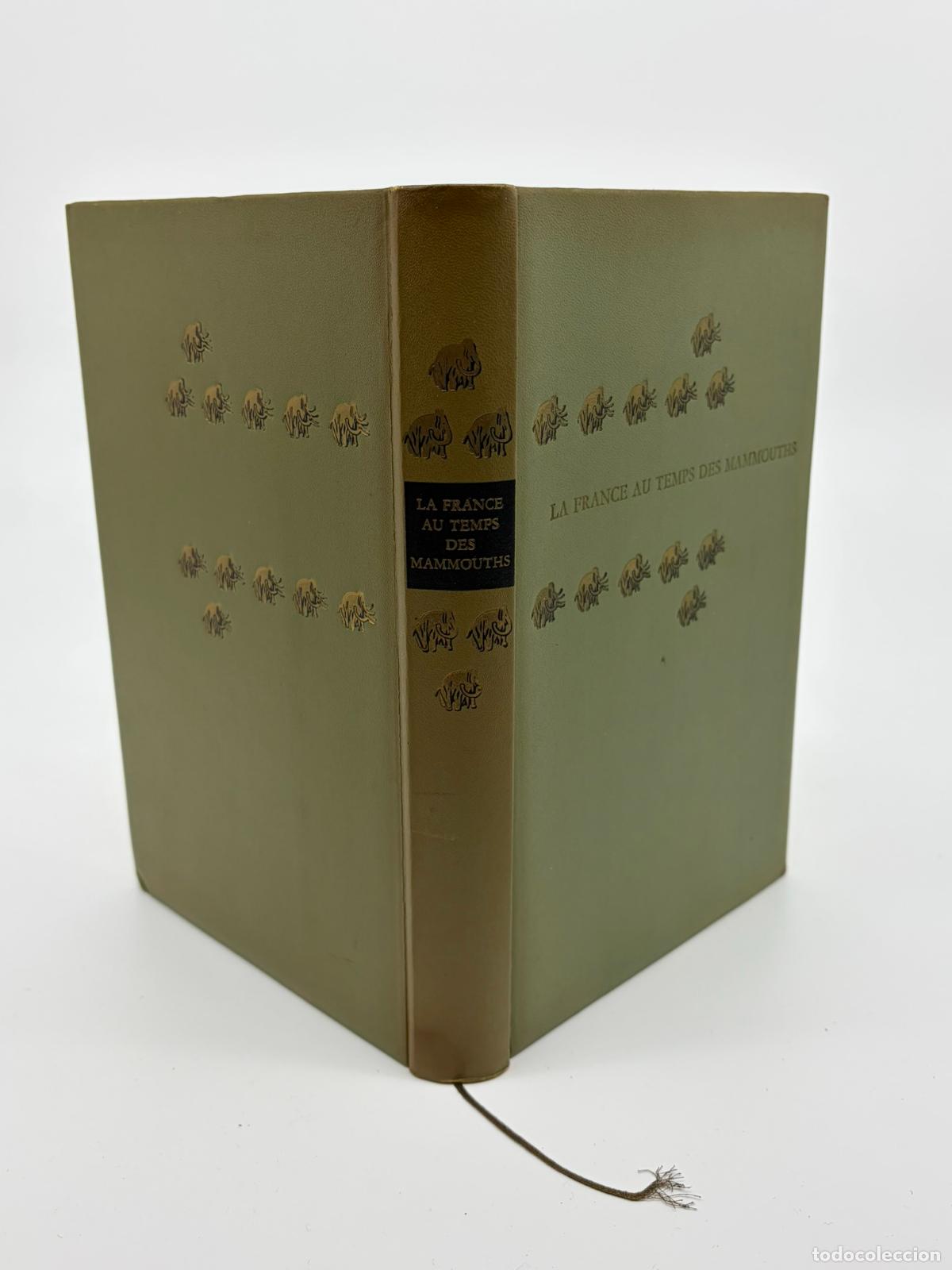 Libros de segunda mano: La France au temps des mammouths Collectif