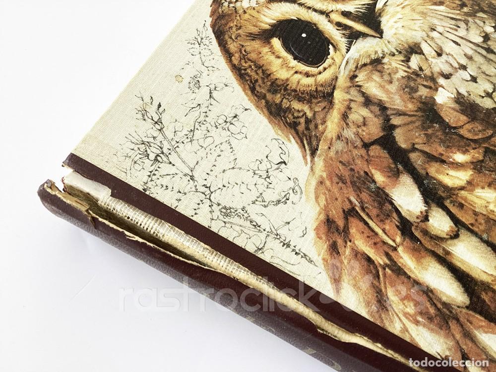 Libros de segunda mano: Libro Guide des Oiseaux - S&eacute;lection du Reader&rsquo;s Digest 1985 - Foto 4