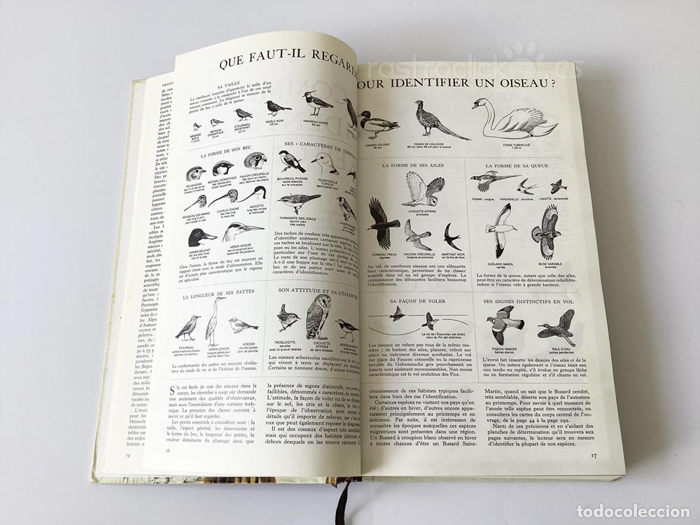 Libros de segunda mano: Libro Guide des Oiseaux - S&eacute;lection du Reader&rsquo;s Digest 1985 - Foto 9