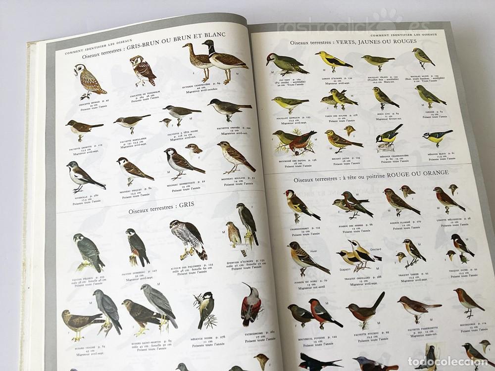 Libros de segunda mano: Libro Guide des Oiseaux - S&eacute;lection du Reader&rsquo;s Digest 1985 - Foto 10