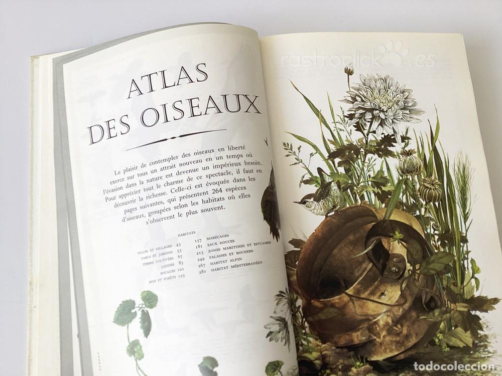 Libros de segunda mano: Libro Guide des Oiseaux - S&eacute;lection du Reader&rsquo;s Digest 1985 - Foto 11