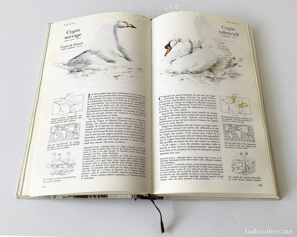 Libros de segunda mano: Libro Guide des Oiseaux - S&eacute;lection du Reader&rsquo;s Digest 1985 - Foto 12