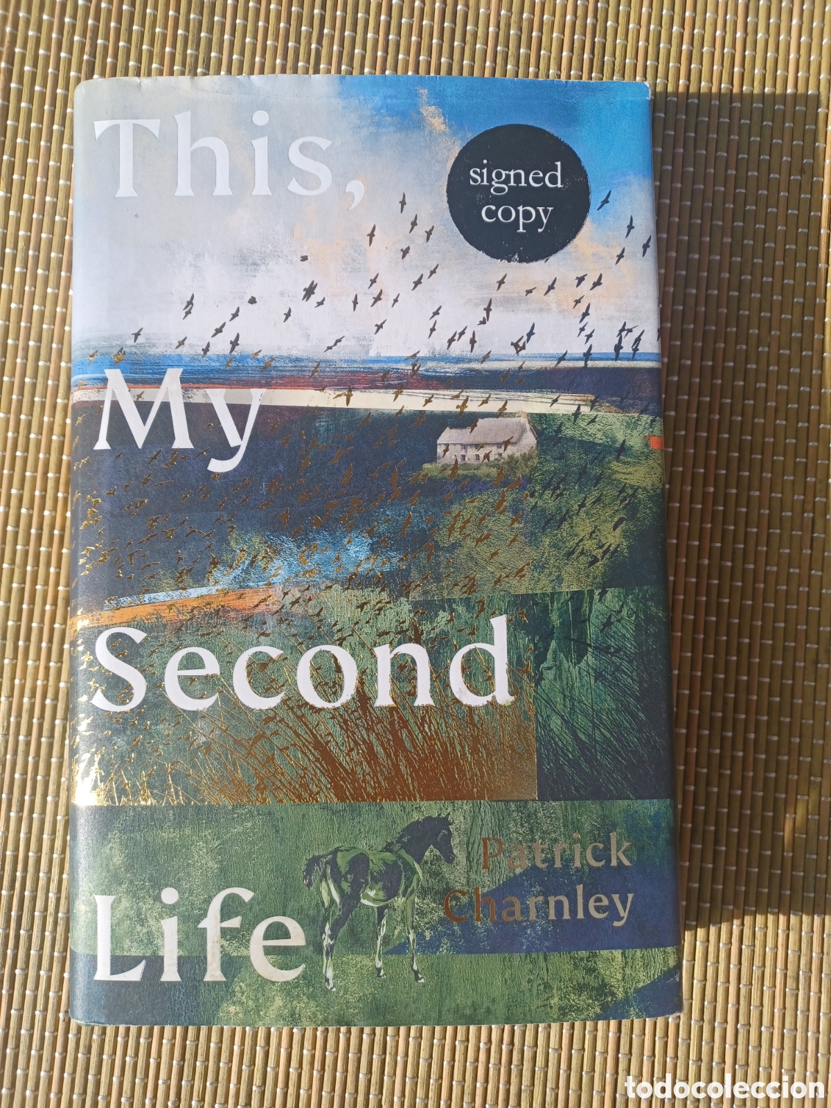 Libros de segunda mano: This, My Second Life. Patrick Charnley - Foto 1