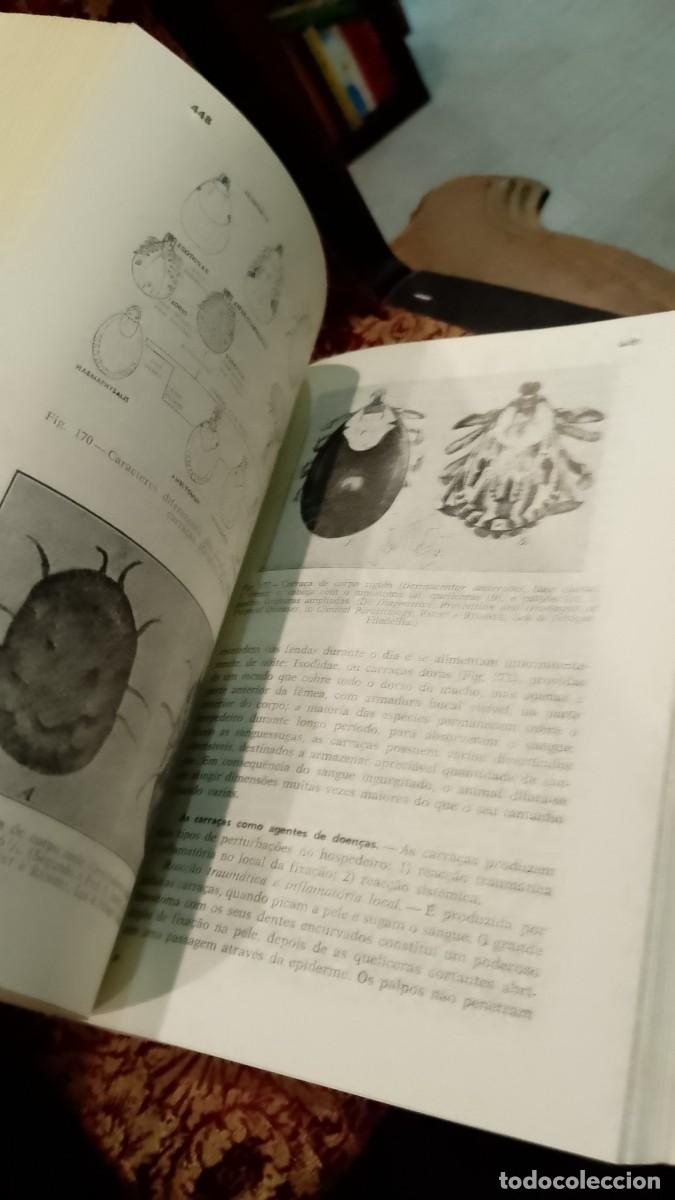 Libros de segunda mano: Agentes e Vectores Animais de Doen&ccedil;as Humanas - E. C. Faust - Foto 3