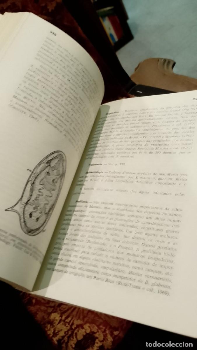 Libros de segunda mano: Agentes e Vectores Animais de Doen&ccedil;as Humanas - E. C. Faust - Foto 4