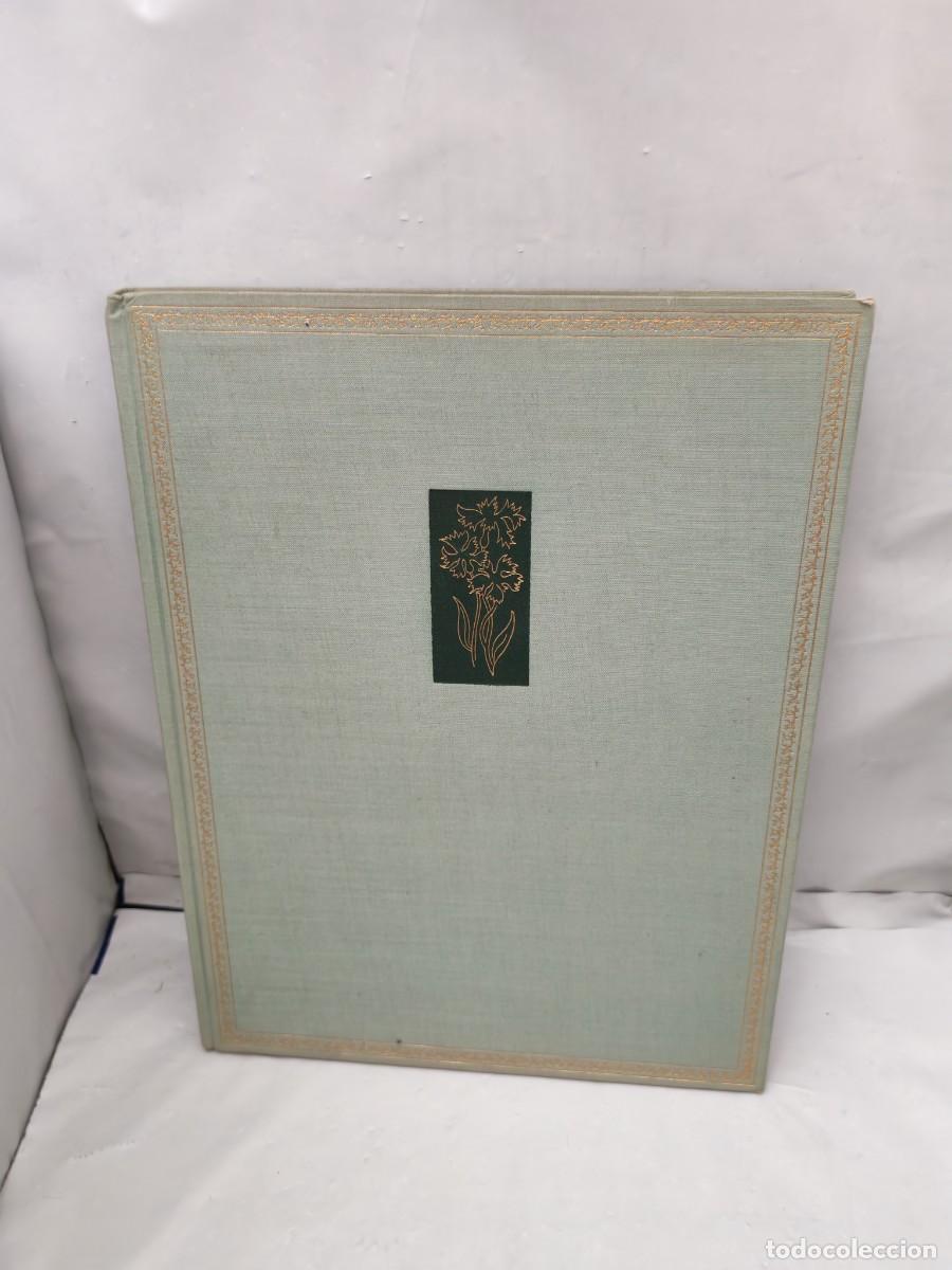 Second hand books: Das Blumenjahr: Mit zw&ouml;lf Zeichnungen von Pia Roshardt (Primera edici&oacute;n, tapa dura)