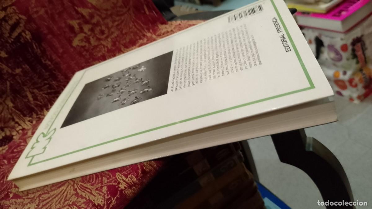 Libros de segunda mano: O Riso de Deus - Ant&oacute;nio Al&ccedil;ada Baptista - Foto 5