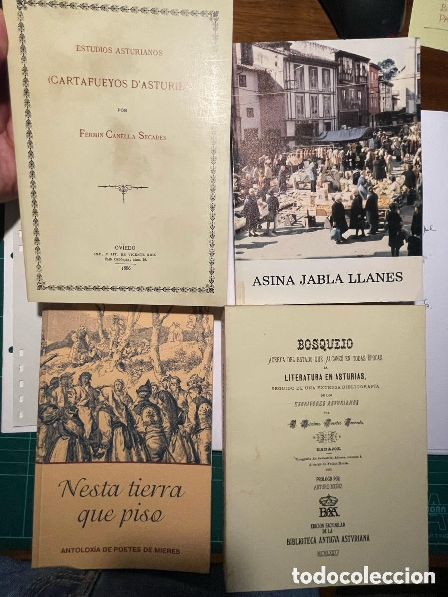 Libros de segunda mano: Libros en asturiano. 10 unidades.