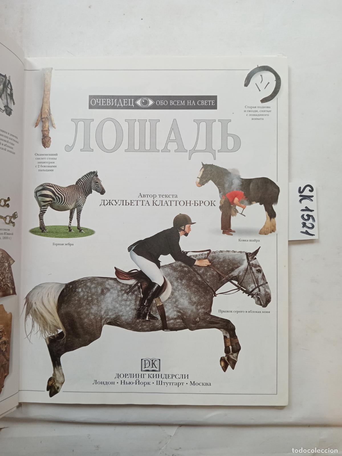 Libri di seconda mano: Clutton-Brock, J., Horse / Loshad'. In Russian - Clutton-Brock, J.