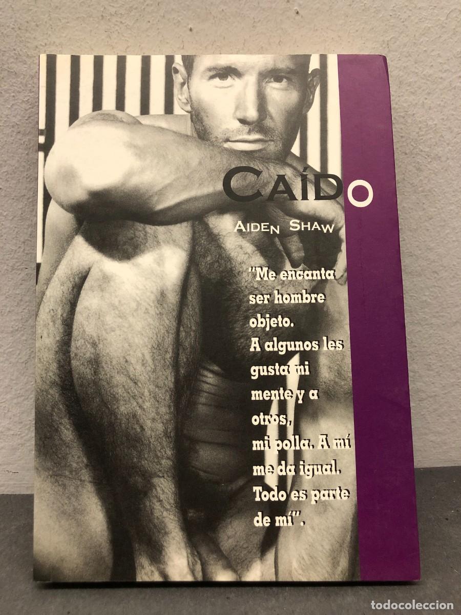 Libros de segunda mano: CA&Iacute;DO - AIDEN SHAW - EDITORIAL EGALES - 2002 / 1351