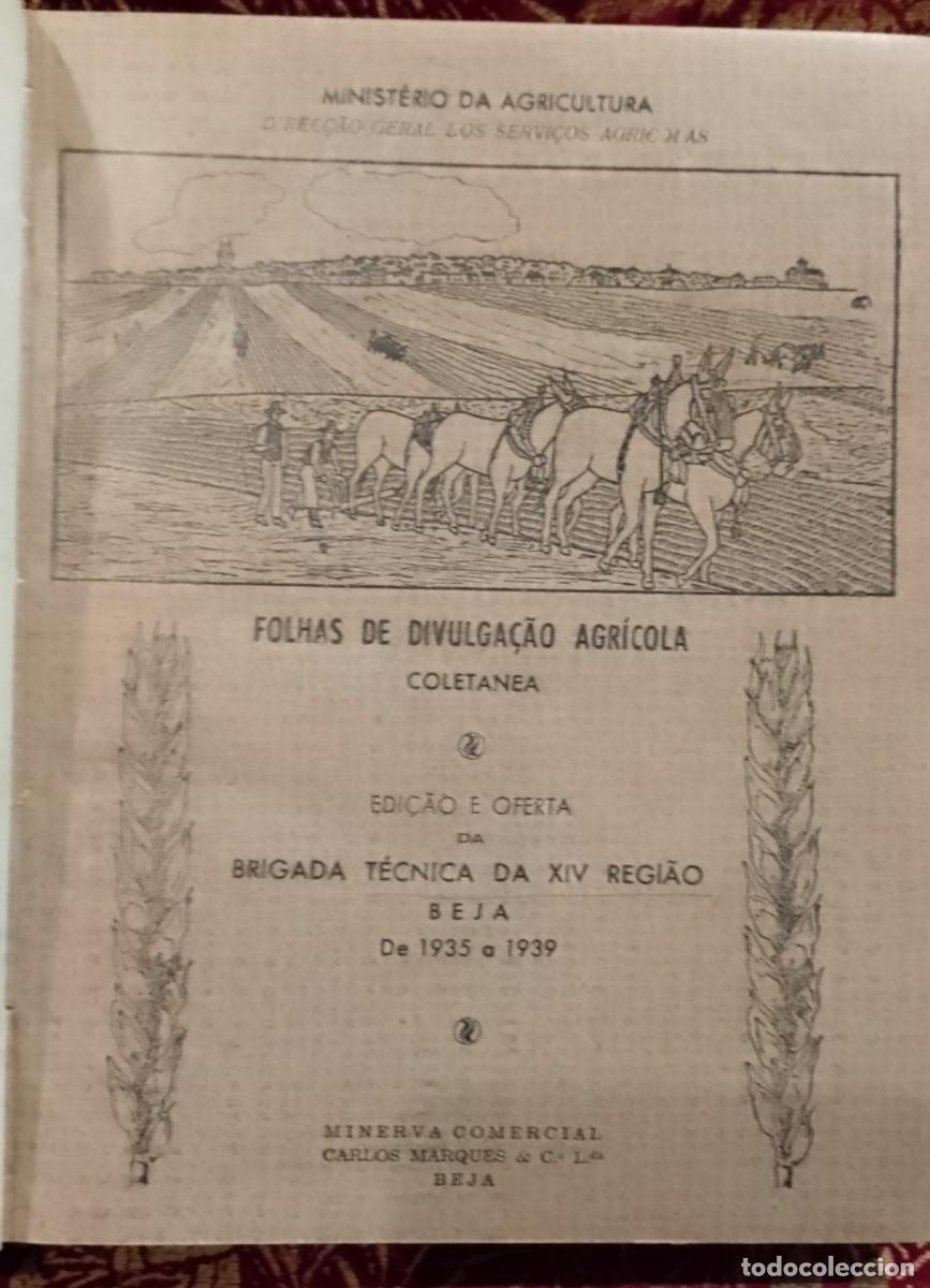 Libros de segunda mano: Beja - Folhas de Divulga&ccedil;&atilde;o Agr&iacute;cola 1936