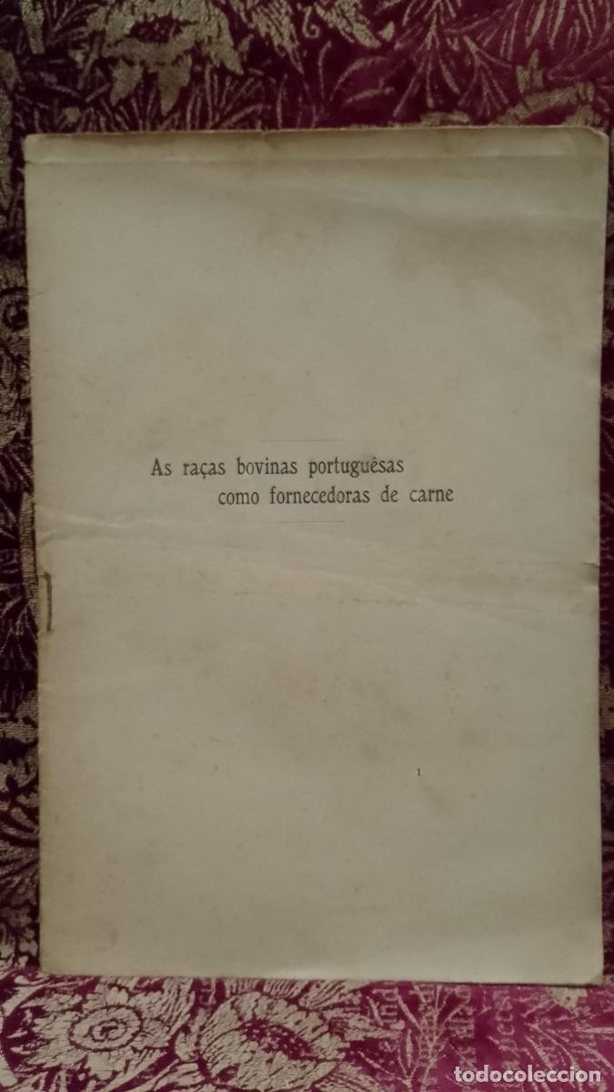 Libros de segunda mano: As Ra&ccedil;as Bovinas Portuguesas como fornecedoras de Carne 1913 Frederico M. P. Soares