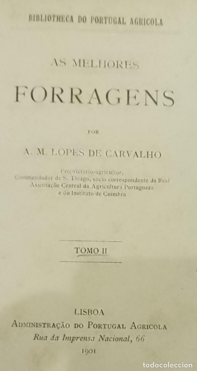 Libros de segunda mano: As Melhores Forragens 1901 A. M. Lopes de Carvalho