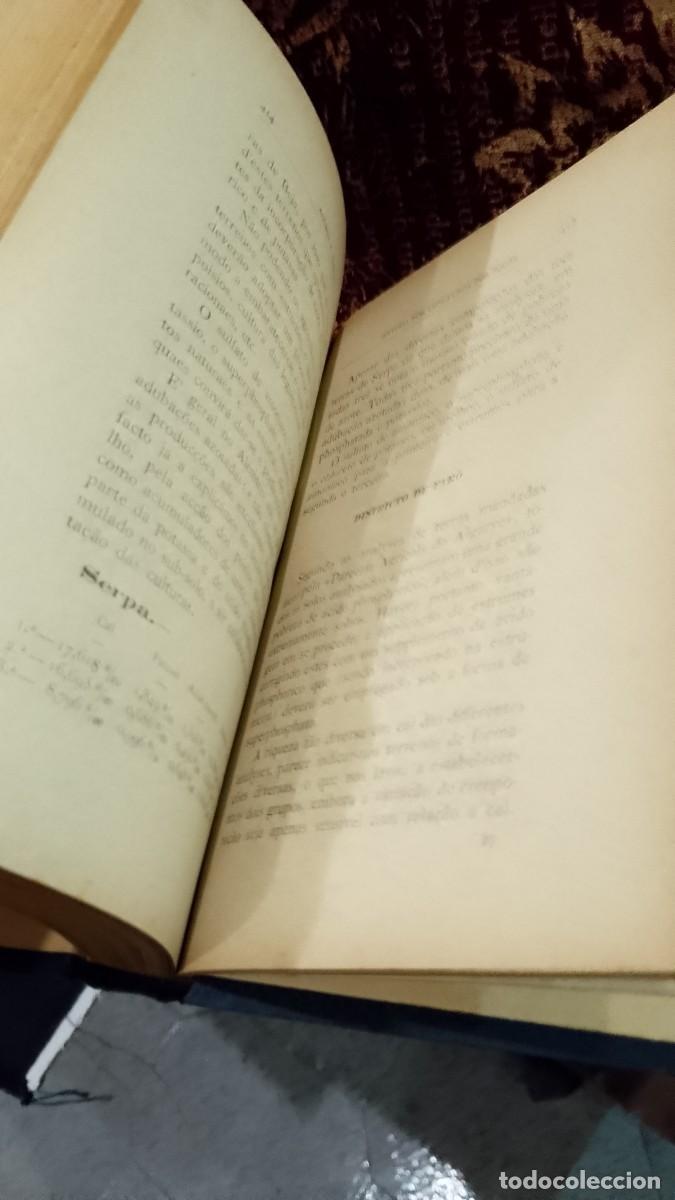 Libros de segunda mano: Adubos e Terras 1902 Jo&atilde;o da Motta Prego - Foto 3