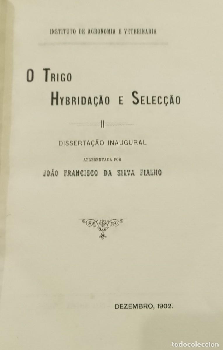Libros de segunda mano: O Trigo Hybrida&ccedil;&atilde;o e Selec&ccedil;&atilde;o 1902 Jo&atilde;o Francisco da Silva Fialho